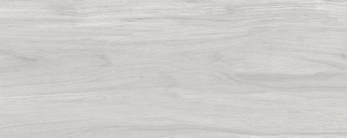 Albero-2053-0129-(4)