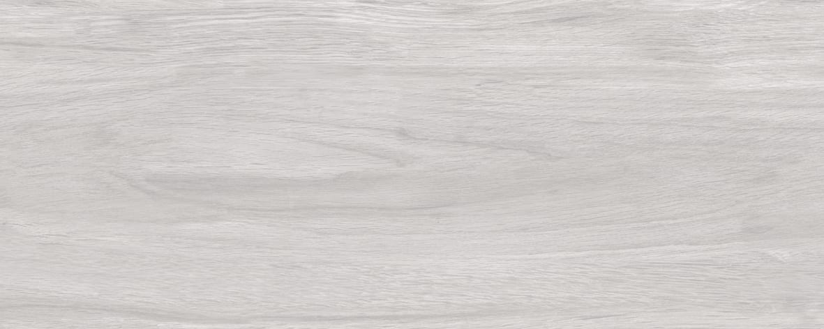 Albero-2053-0129-(5)