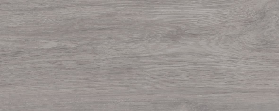 Albero-2053-0130-(4)