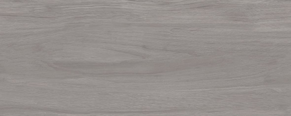 Albero-2053-0130-(7)