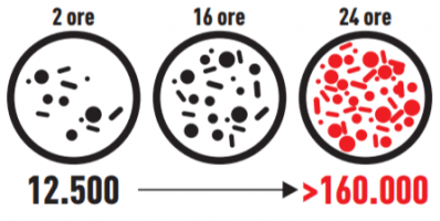 test suprafata netratata